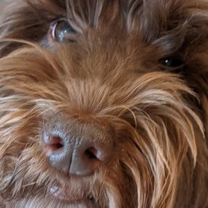 Meet your Posher, Addi